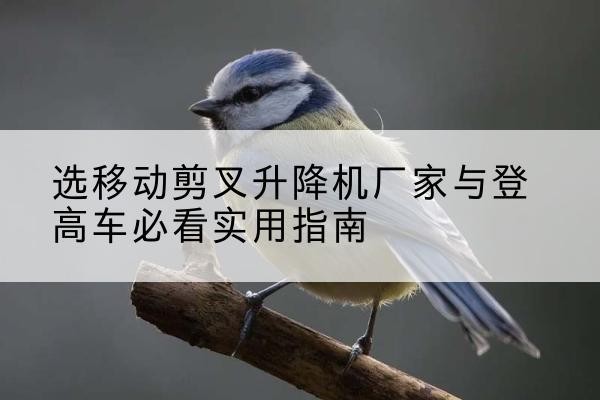 大名电动升降机厂家-选移动剪叉升降机厂家与登高车必看实用指南