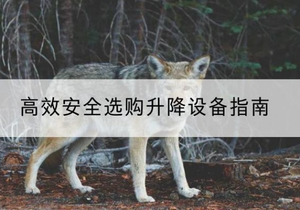 大名升降货梯厂家推荐-*安全选购升降设备指南